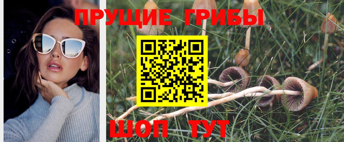 цена наркотик  Псилоцибиновые грибы Cubensis  Вход с VPN  Галлюциногенные грибы ЛСД  Костомукша 