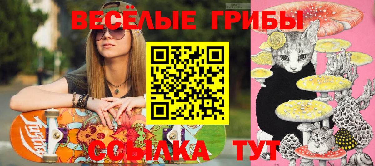Псилоцибиновые грибы Psilocybe Костомукша